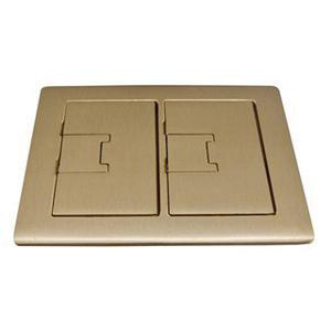P11738.jpg Thomas & Betts E9762BR Light Lacquer Brass 2-Gang Floor Box Cover 7.13-Inch x 8.25-Inch Carlon®