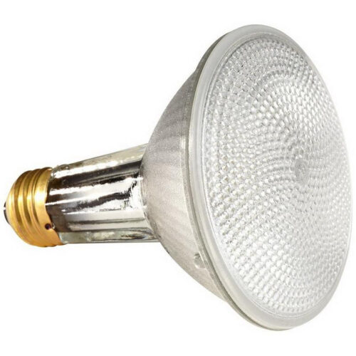 Osram Sylvania 16168 PAR30 Long Neck Halogen Lamp 60-Watt E26 Medium Base 1070-Lumens 99 CRI 2900K Capsylite&reg;
