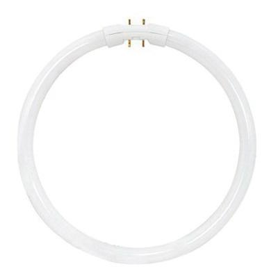 P121484.jpg Satco S8156 T5 High Performance Circline Fluorescent Lamp 22-Watt 2GX13 Base 1900-Lumens 82 CRI 3500K 9-Inch Length HyGrade