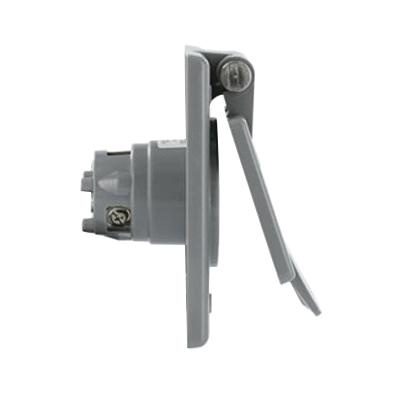 P125408.jpg Leviton 5278-CWP 3-Wire 2-Pole Straight Blade Industrial Grade Power Inlet Receptacle 125-Volt 15-Amp Gray