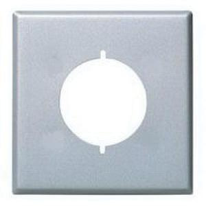 P137485.jpg Mulberry 97222 430 Stainless Steel 2-Gang Wallplate 30/50-Amp 3-Wire Range/Dryer Receptacle